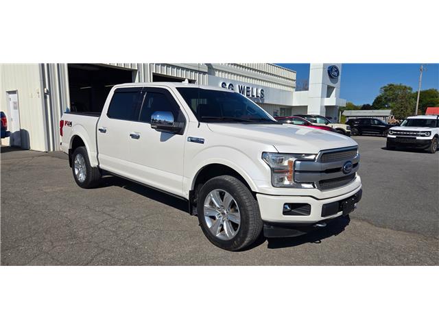 2019 Ford F-150 Platinum in Morrisburg - Image 6 of 9