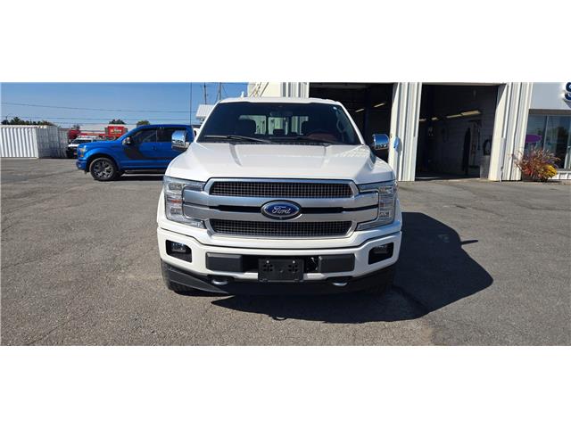2019 Ford F-150 Platinum in Morrisburg - Image 7 of 9