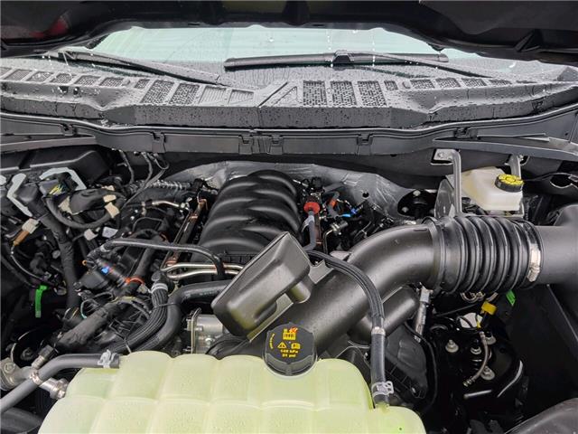 2025 Ford F-150 XLT (Stk: F1337) in Miramichi - Image 13 of 13