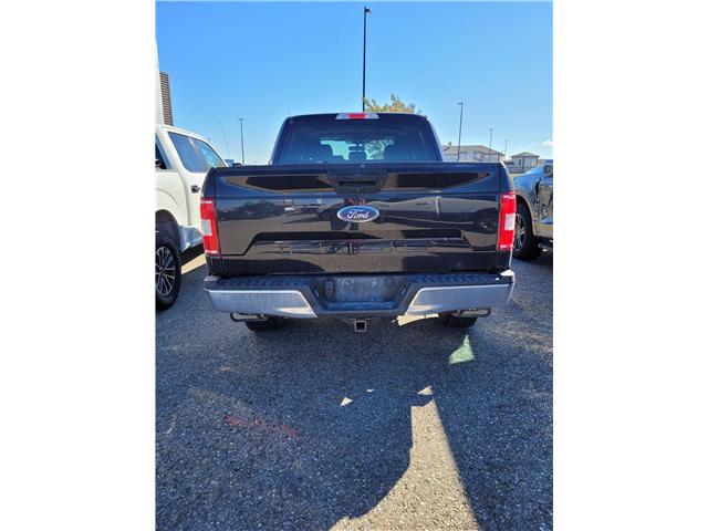 2020 Ford F-150 XLT (Stk: OP3961) in Pincher Creek - Image 4 of 8