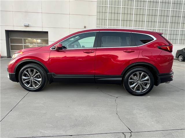 2021 Honda CR-V Sport (Stk: HP6449) in Toronto - Image 2 of 23