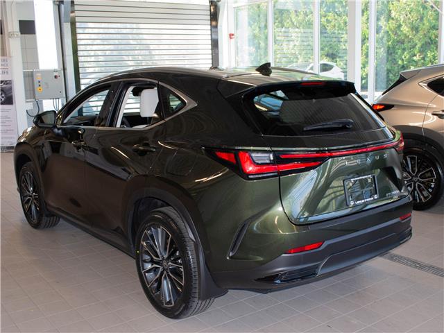 2026 Lexus NX 350h Base (Stk: 6909) in Kingston - Image 4 of 15