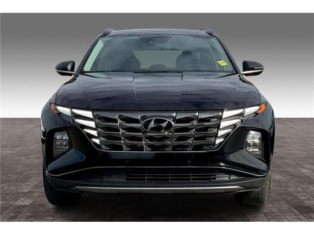 2024 Hyundai Tucson Trend (Stk: 24B5610) in Sherwood Park - Image 3 of 30 2024 Hyundai Tucson Trend (Stk: 24B5610) in Sherwood Park - Image 3 of 30