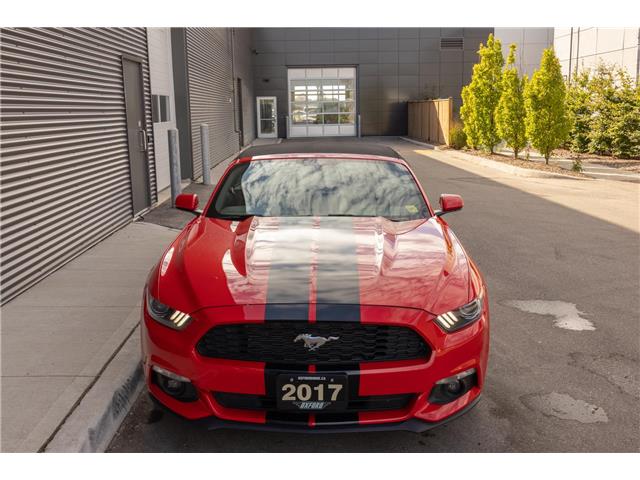 2017 Ford Mustang V6 (Stk: U11022) in London - Image 3 of 18