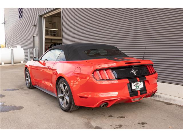 2017 Ford Mustang V6 (Stk: U11022) in London - Image 5 of 18
