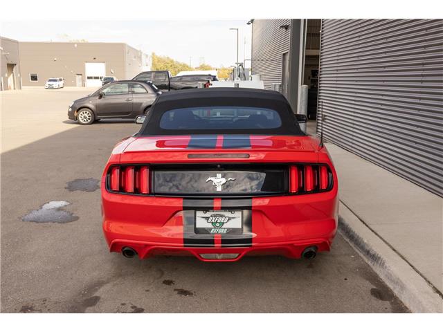 2017 Ford Mustang V6 (Stk: U11022) in London - Image 6 of 18