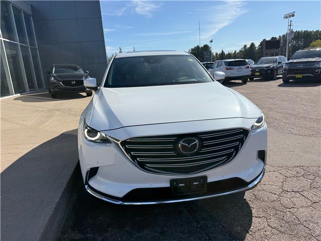 2021 Mazda CX-9 GT (Stk: 24605) in Pembroke - Image 5 of 34
