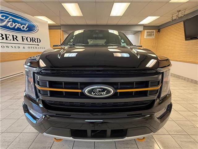 2023 Ford F-150 Tremor (Stk: UC70792) in Shellbrook - Image 8 of 22