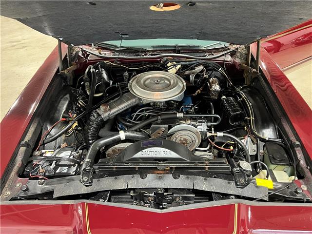 1979 Ford Thunderbird Heritage Edition (Stk: Z1979Thunderbird) in Toronto - Image 22 of 34