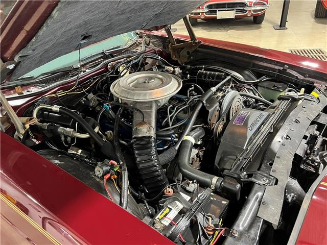 1979 Ford Thunderbird Heritage Edition (Stk: Z1979Thunderbird) in Toronto - Image 24 of 34