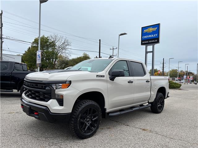2026 Chevrolet Silverado 1500 Custom Trail Boss (Stk: TT141880) in Caledonia - Image 1 of 46