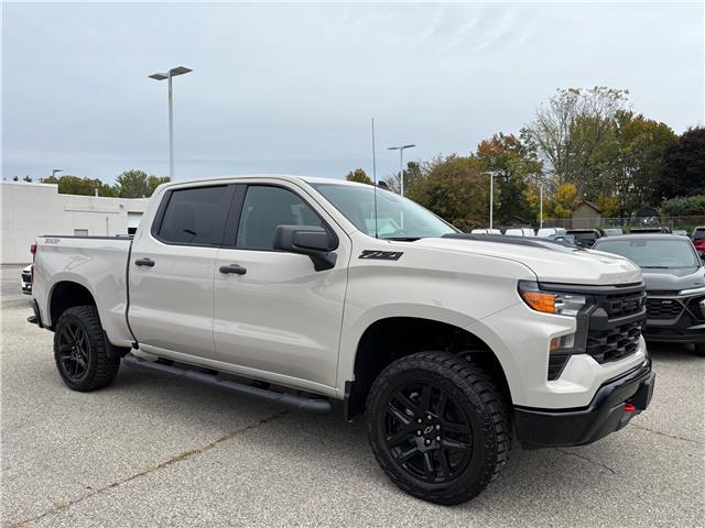 2026 Chevrolet Silverado 1500 Custom Trail Boss (Stk: TT141880) in Caledonia - Image 7 of 46