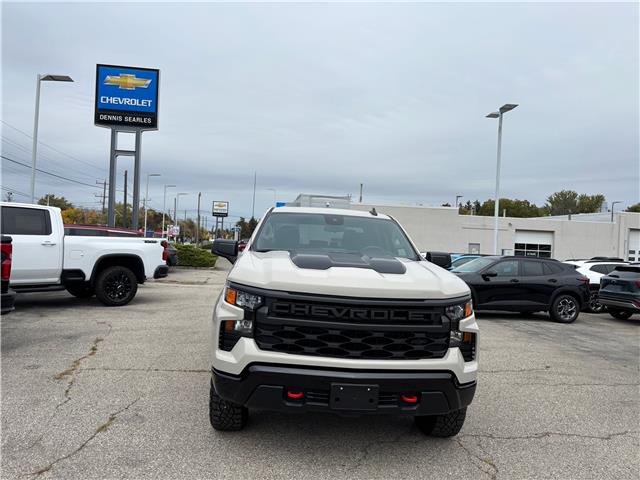 2026 Chevrolet Silverado 1500 Custom Trail Boss (Stk: TT141880) in Caledonia - Image 8 of 46