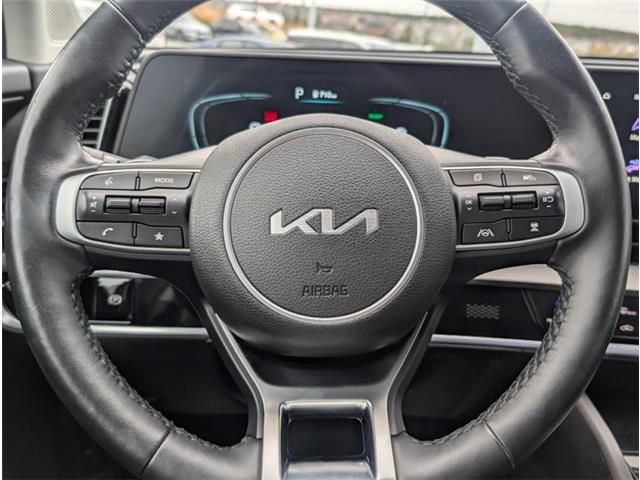 2023 Kia Sportage Hybrid EX (Stk: A25156) in St. John's - Image 18 of 19