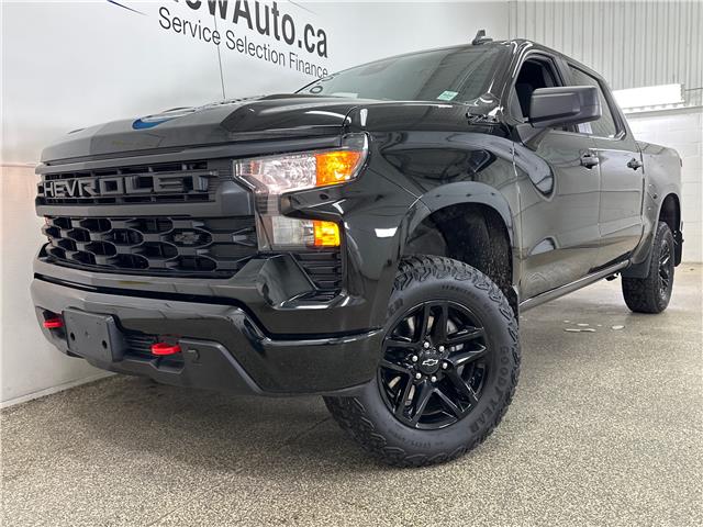 2023 Chevrolet Silverado 1500 Custom Trail Boss (Stk: 43034J) in Belleville - Image 4 of 24