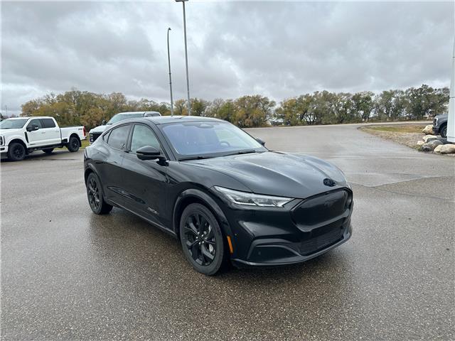 2023 Ford Mustang Mach-E Premium (Stk: U79353) in Hague - Image 2 of 14