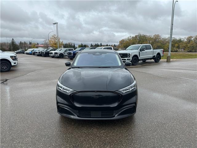 2023 Ford Mustang Mach-E Premium (Stk: U79353) in Hague - Image 3 of 14