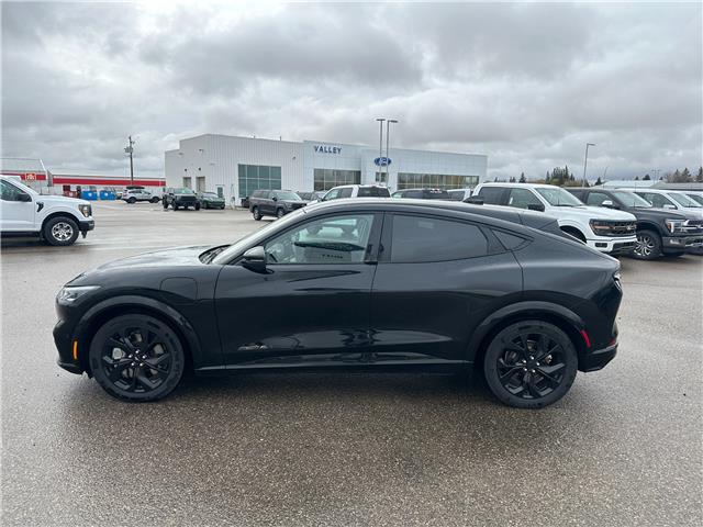 2023 Ford Mustang Mach-E Premium (Stk: U79353) in Hague - Image 5 of 14
