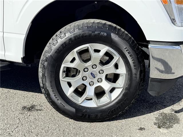 2022 Ford F-150  (Stk: DZ1325A) in Ottawa - Image 4 of 12