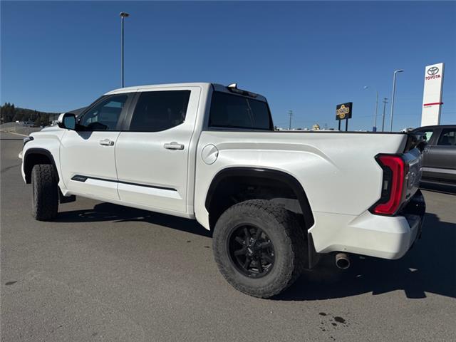 2024 Toyota Tundra Platinum (Stk: X115480A) in Cranbrook - Image 3 of 20