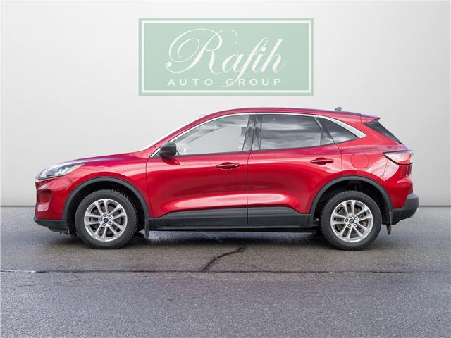 2022 Ford Escape SE (Stk: P0972) in Mississauga - Image 5 of 25