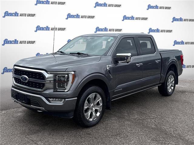 2022 Ford F-150 Platinum (Stk: 164087) in London - Image 1 of 26