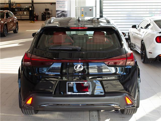 2025 Lexus UX 300h Base (Stk: 6918) in Kingston - Image 5 of 15