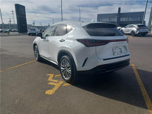 2026 Lexus NX 350 Base (Stk: 269002) in Regina - Image 4 of 20