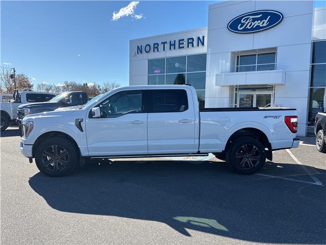 2022 Ford F-150 Lariat (Stk: U02741) in Espanola - Image 2 of 22