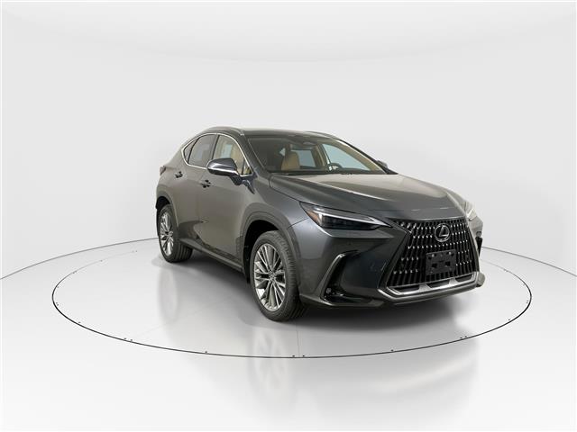 2026 Lexus NX Base 4dr All-Wheel Drive