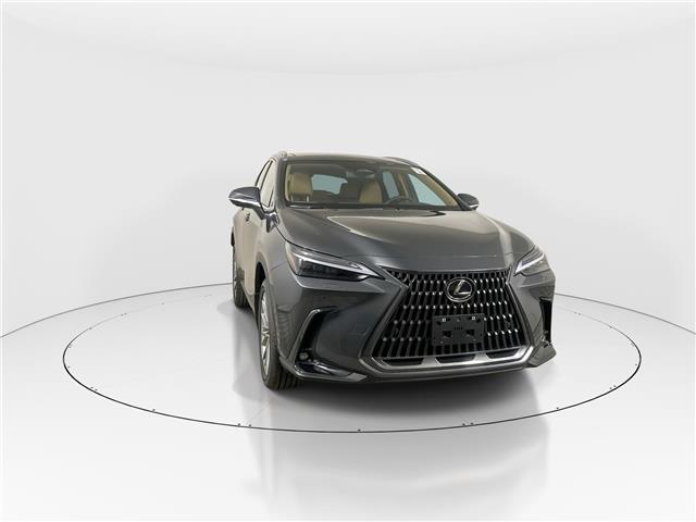 2026 Lexus NX 350  (Stk: 14111260) in Markham - Image 2 of 17
