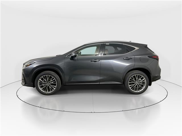 2026 Lexus NX 350  (Stk: 14111280) in Markham - Image 4 of 17