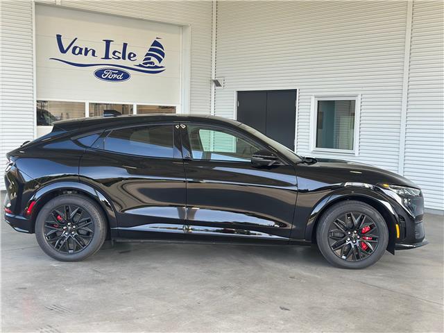 2025 Ford Mustang Mach-E Premium (Stk: 25343) in Port Alberni - Image 3 of 28