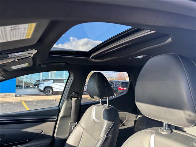 2023 Hyundai Santa Cruz Ultimate (Stk: 36137) in Renfrew - Image 14 of 27