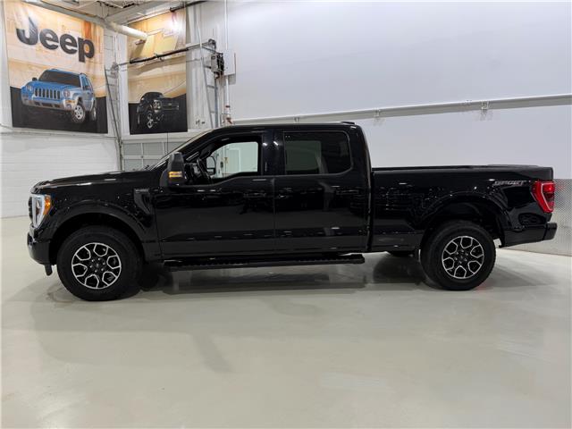 2023 Ford F-150 XLT (Stk: C7975) in Saint-Eustache - Image 2 of 26