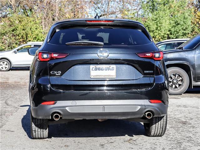 2023 Mazda CX-5 Kuro Edition (Stk: 25290A) in Cobourg - Image 5 of 28