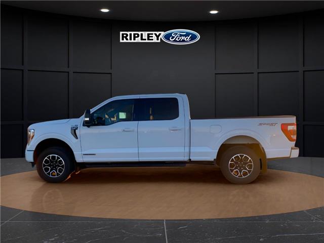 2021 Ford F-150 Lariat (Stk: 25445A) in Melfort - Image 10 of 20