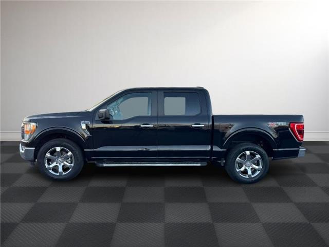 2022 Ford F-150  (Stk: TL50307) in Windsor - Image 2 of 26