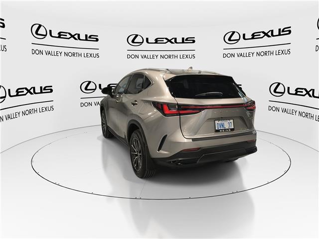 2026 Lexus NX 350  (Stk: 14111387) in Markham - Image 6 of 14