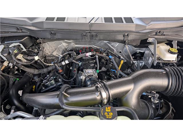 2025 Ford F-150 XLT (Stk: F1377) in Miramichi - Image 13 of 13