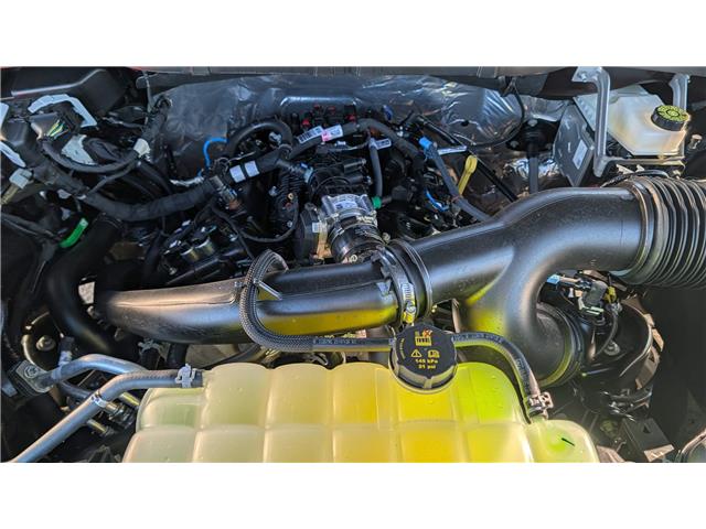 2025 Ford F-150 XLT (Stk: F1369) in Miramichi - Image 13 of 13