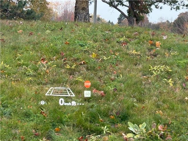 2023 Mazda CX-5 Sport Design (Stk: 16071) in Newmarket - Image 16 of 50