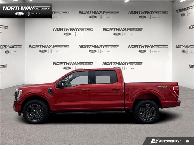 2023 Ford F-150 XLT (Stk: P11705) in Brantford - Image 3 of 22