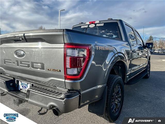 2023 Ford F-150 Tremor (Stk: SK-204A) in Okotoks - Image 11 of 25