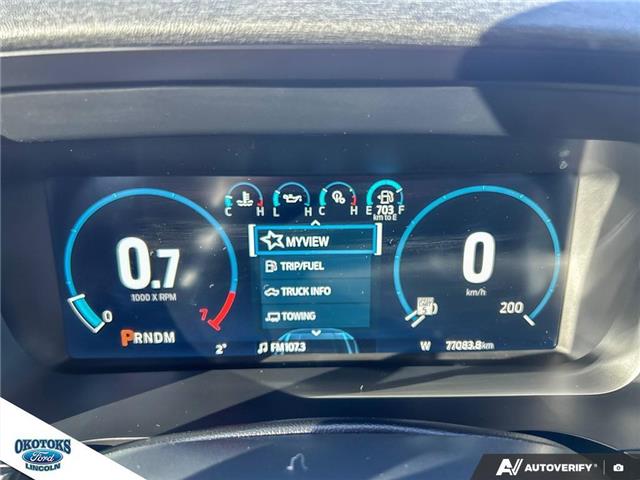 2023 Ford F-150 Tremor (Stk: SK-204A) in Okotoks - Image 15 of 25