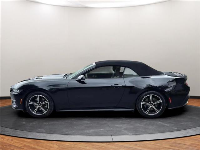 2024 Ford Mustang EcoBoost Premium (Stk: 133340) in Lower Sackville - Image 12 of 26