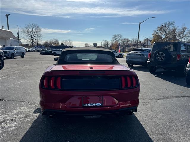 2021 Ford Mustang EcoBoost Premium (Stk: 25347A) in Amherstburg - Image 5 of 17