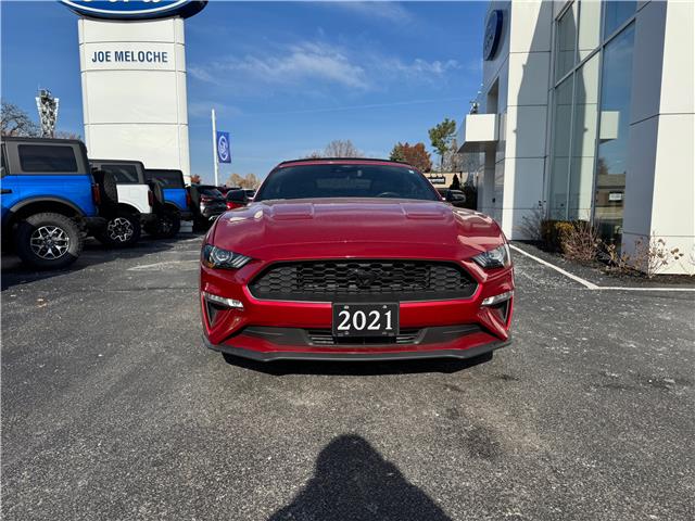 2021 Ford Mustang EcoBoost Premium (Stk: 25347A) in Amherstburg - Image 9 of 17