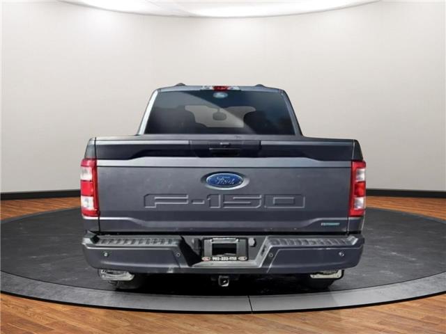 2023 Ford F-150 XL (Stk: E97747) in Lower Sackville - Image 8 of 25