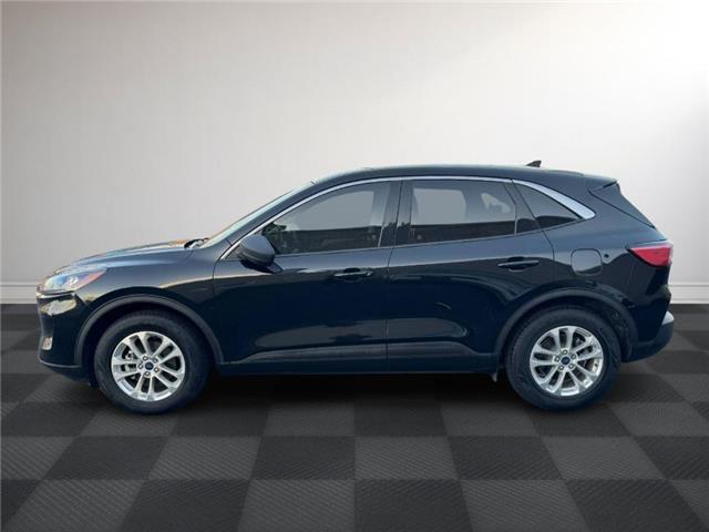 2022 Ford Escape SE (Stk: TL49694) in Windsor - Image 2 of 27
